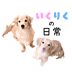 いくりくの日常