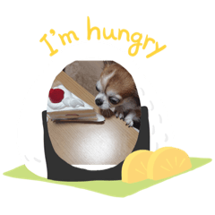 チワワ/バニラのスタンプ