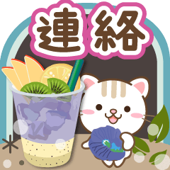 大人のためのねこ毎日の連絡スタンプ