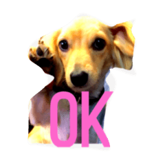 かわいいチップの日常スタンプ