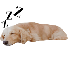 猛犬くっきーのスタンプ