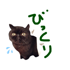 クロたんシール