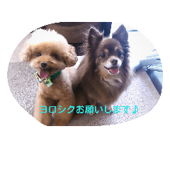 ボン&ミュウミュウ