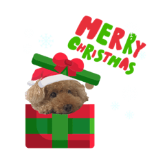 モコちゃんクリスマス＆お正月