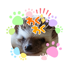 ふく福アニマルズ