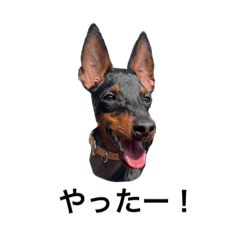 ポッキー 〜シーズン2〜