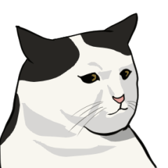 シチリア風真顔猫