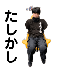 カステチルスタンプ24.1