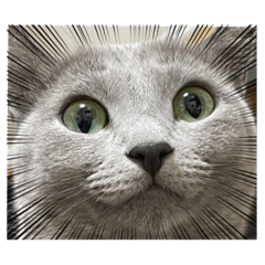 おてんば娘のEmma2