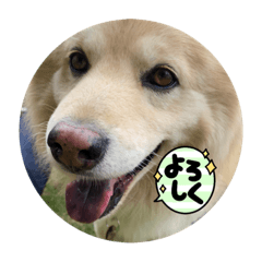 林太琅(りんたろう)