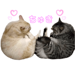 峩々とシャルムのスタンプ