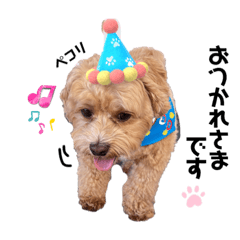 ぷぷまるスタンプ！