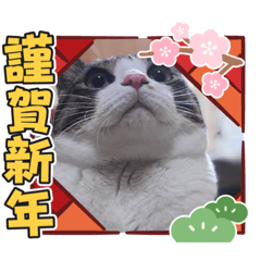 さばおだよー！