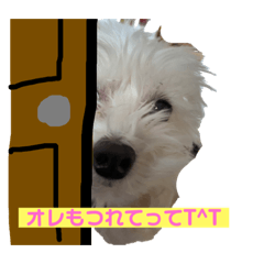 初めてのテディ！