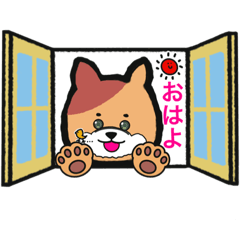 むぅとくんの日常