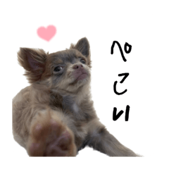 てんつんスタンプ