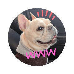 フレブルシンプル連絡用スタンプ