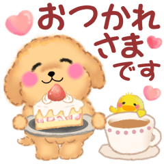 かわいいトイプードル❤️優しい日常言葉