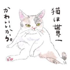 保護猫さんの下僕