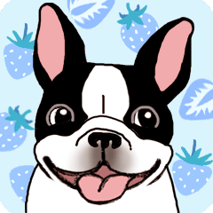 【フレブルたち】動く！ペットたち