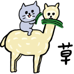 今を生きてる灰色キャット3