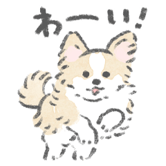 チワワがいるから頑張れる