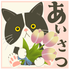 ハチワレぶーにゃんの簡単あいさ〜つ