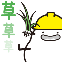 フンコロガシが通ります。