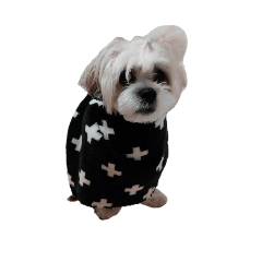 スタンプラッキー！2