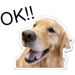 ルークといっしょ！2