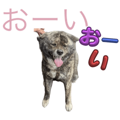 犬のスタンプ(可愛い)