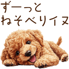 ダラダラしすぎ！？動きたくないトイプー