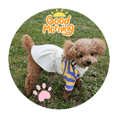 わが家の天使ちゃんのもかさん　修正版