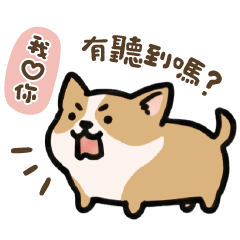 コーギーのピピ（甘えん坊な日常）