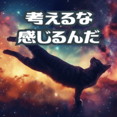 毎日使えるおもしろギャラクシー猫