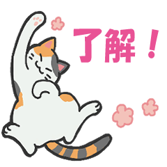 毎日つかえる・猫ちゃんスタンプ