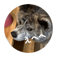 キャンディとななちゃん♡