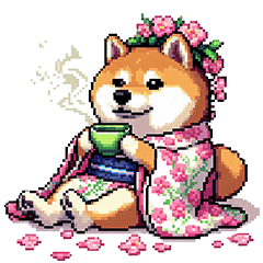 太っちょ柴犬の春