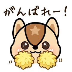 かわいいリス太郎