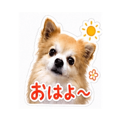Muku Stickers 0402