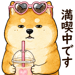 人付き合い編｜柴犬のゆるい日常