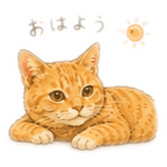 茶トラ君のほのぼの日常