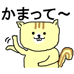 リスのたーちゃん