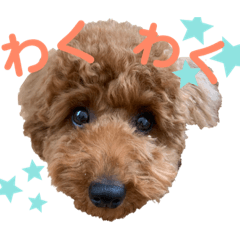 わさびの毎日スタンプ2