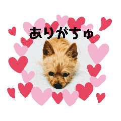 いつもの挨拶たち