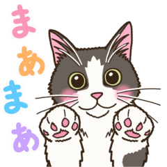 毎日使える動くねこのスタンプ