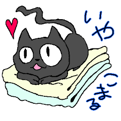 かぎしっぽの黒猫くろ