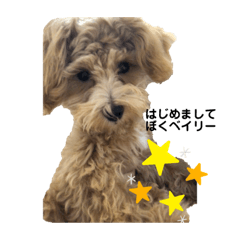 ベイリーのスタンプ