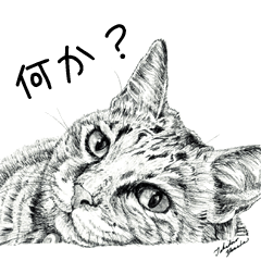 Cats & Dogs 1 - 山田貴裕 - セリフ付き