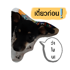 kawaii_20200224203038